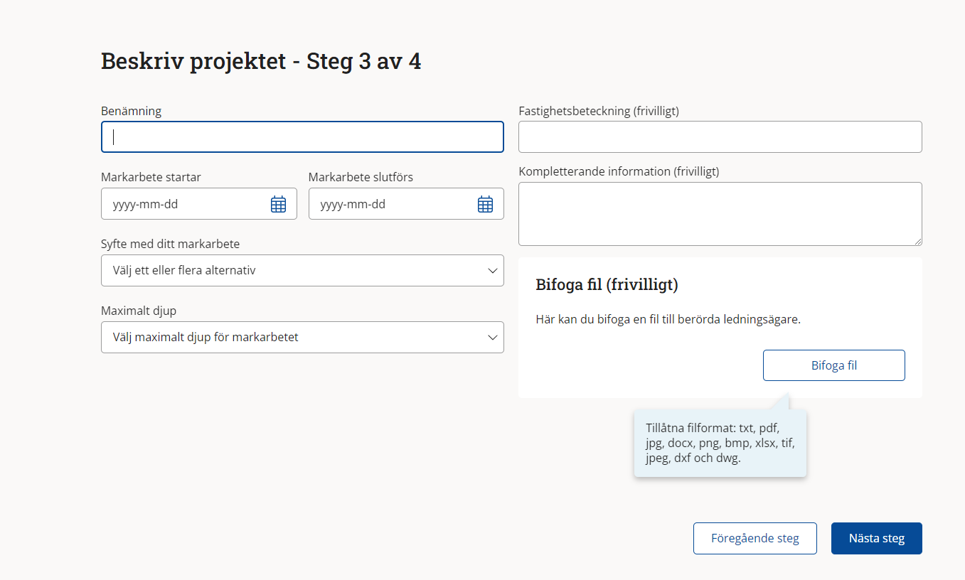 Skärmdump av sidan där du beskriver och kategoriserar ditt projekt.